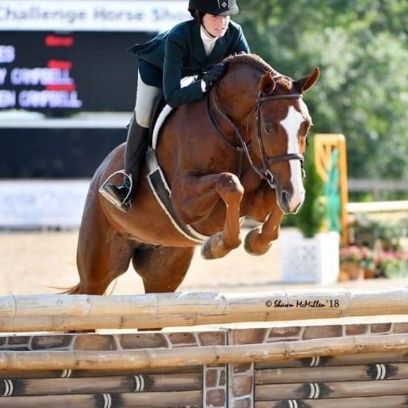 Meet your Posher, Kelly - Picture 1 of 1